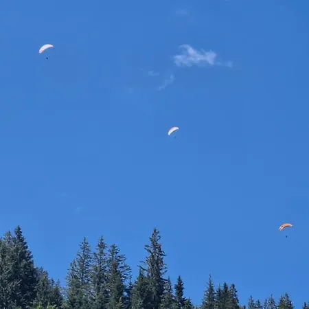 Prázdninový dům Gemmi Kandersteg